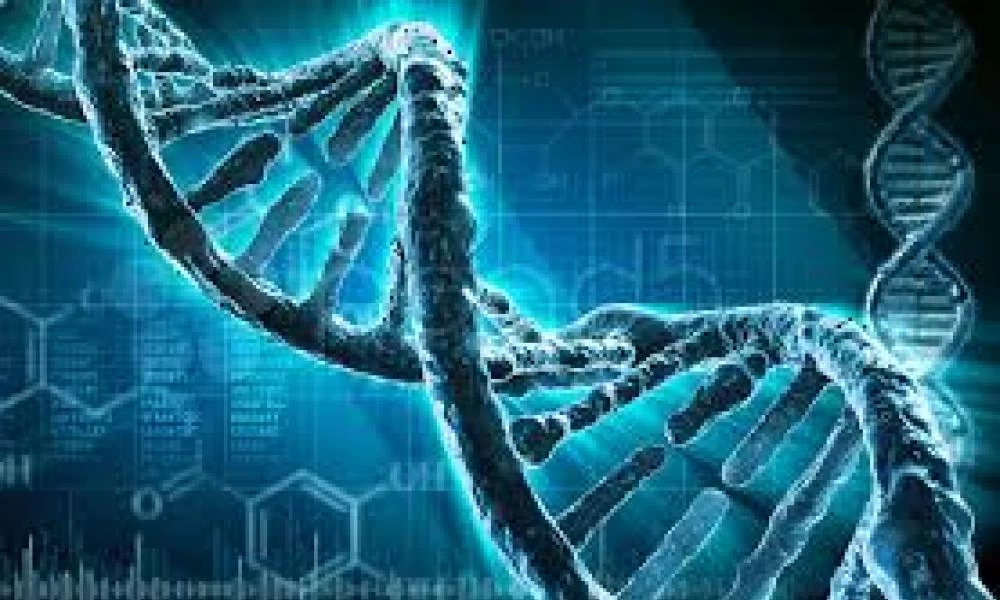 Μπορεί το DNA να χρησιμοποιηθεί ως κύκλωμα σε ηλεκτρονικές συσκευές;